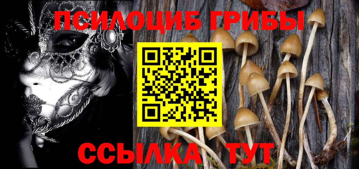 купить наркотики сайты  Псилоцибиновые грибы Magic Shrooms  Вход с VPN  Великий Устюг 